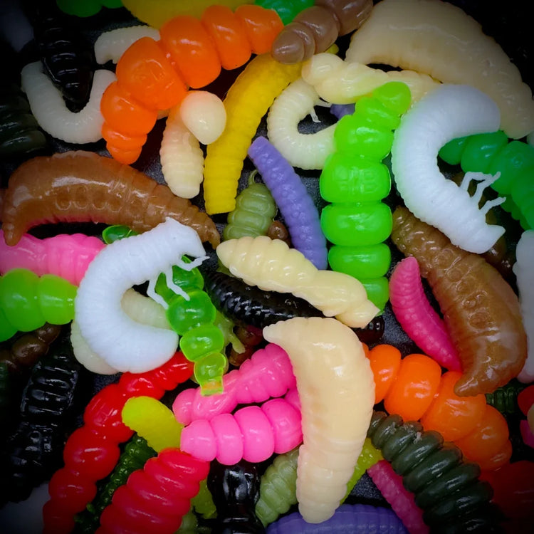 Larver & Grubs