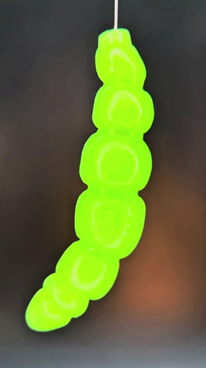 Larva Apod