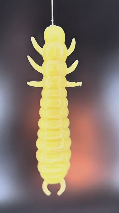 Larva Lux