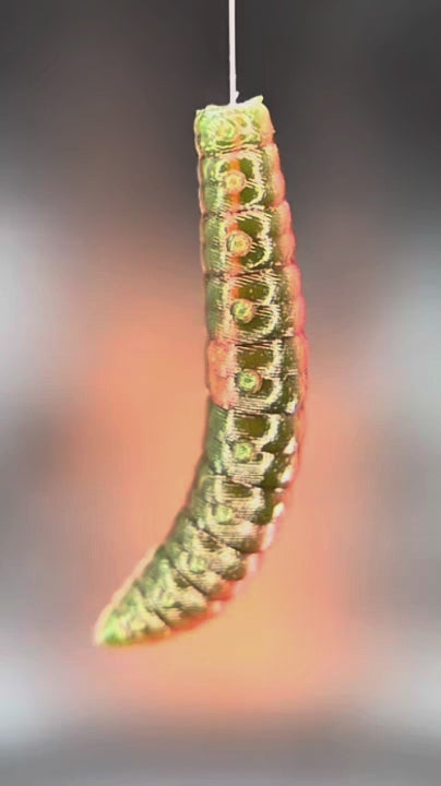 Larva Grub
