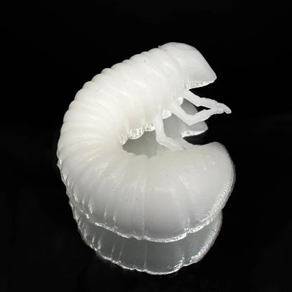 SCARAB